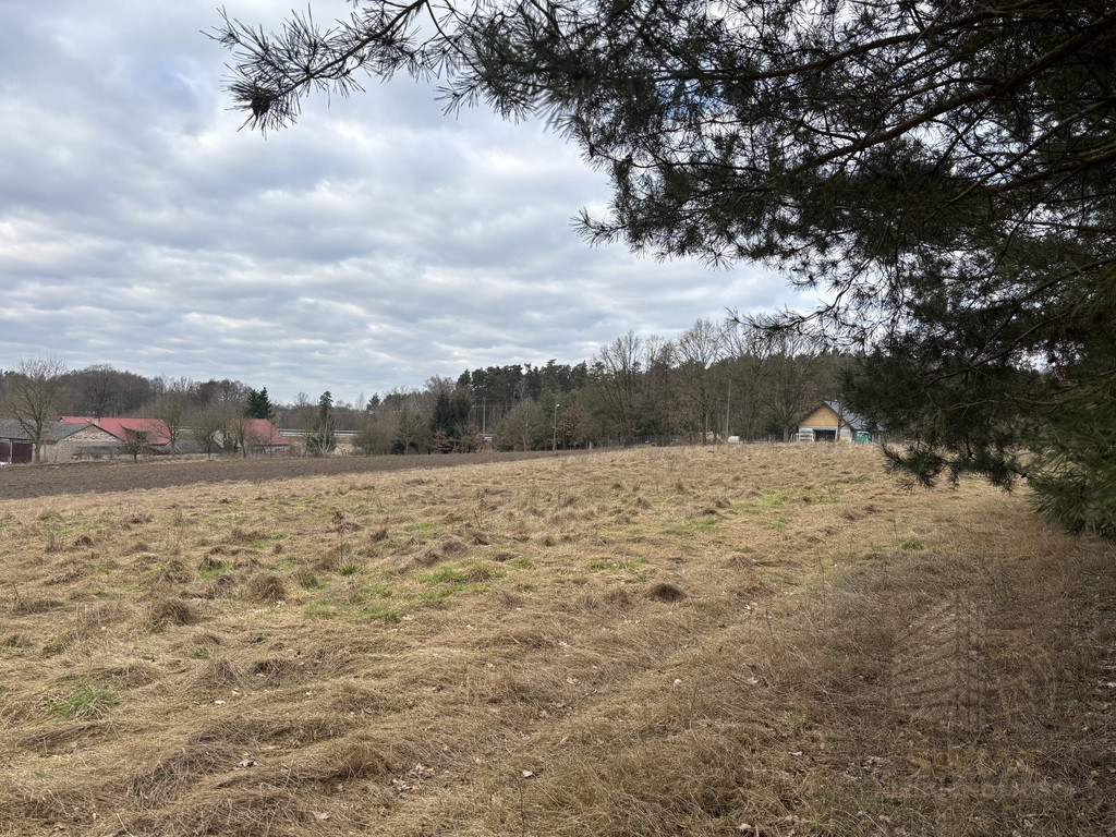 Działka Sprzedaż Kikorze 8