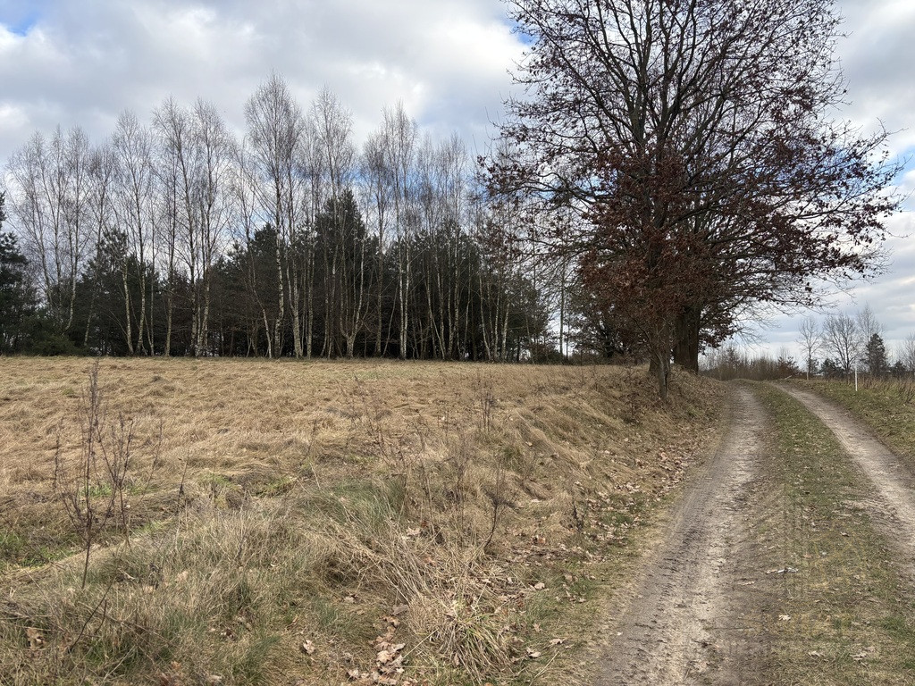 Działka Sprzedaż Kikorze 9