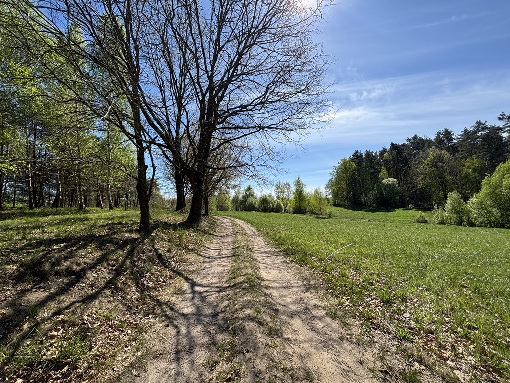 Działka Sprzedaż Kikorze 5