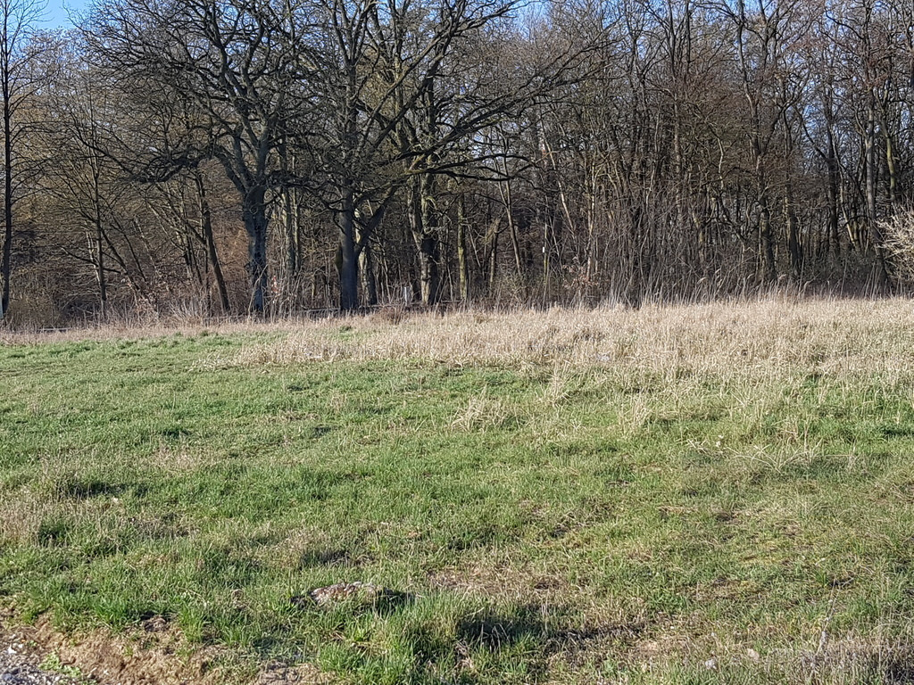 Działka Sprzedaż Kościno 6