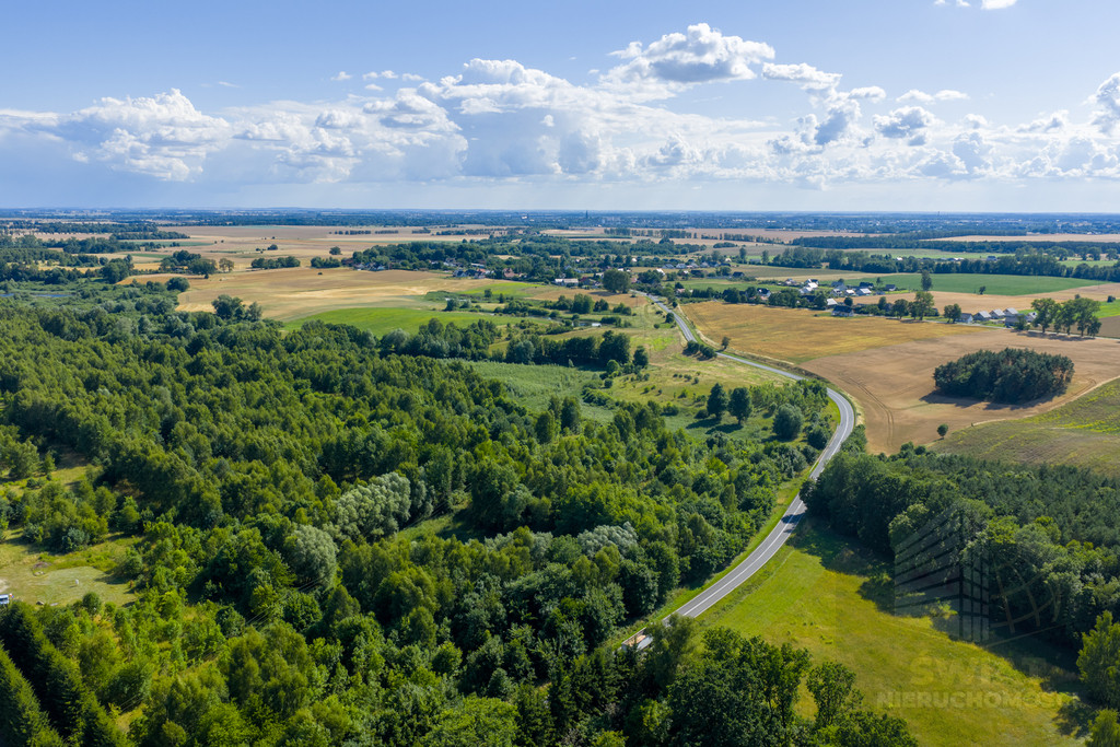 Działka Sprzedaż Grabowo 6