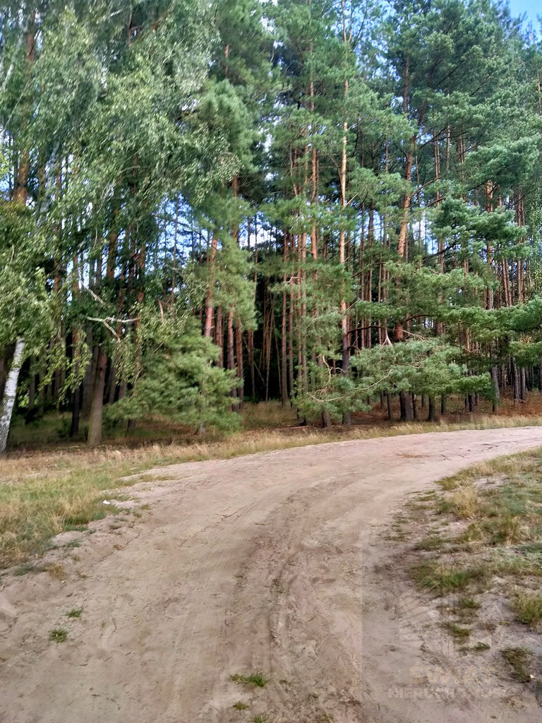 Działka Sprzedaż Tanowo Szczecińska