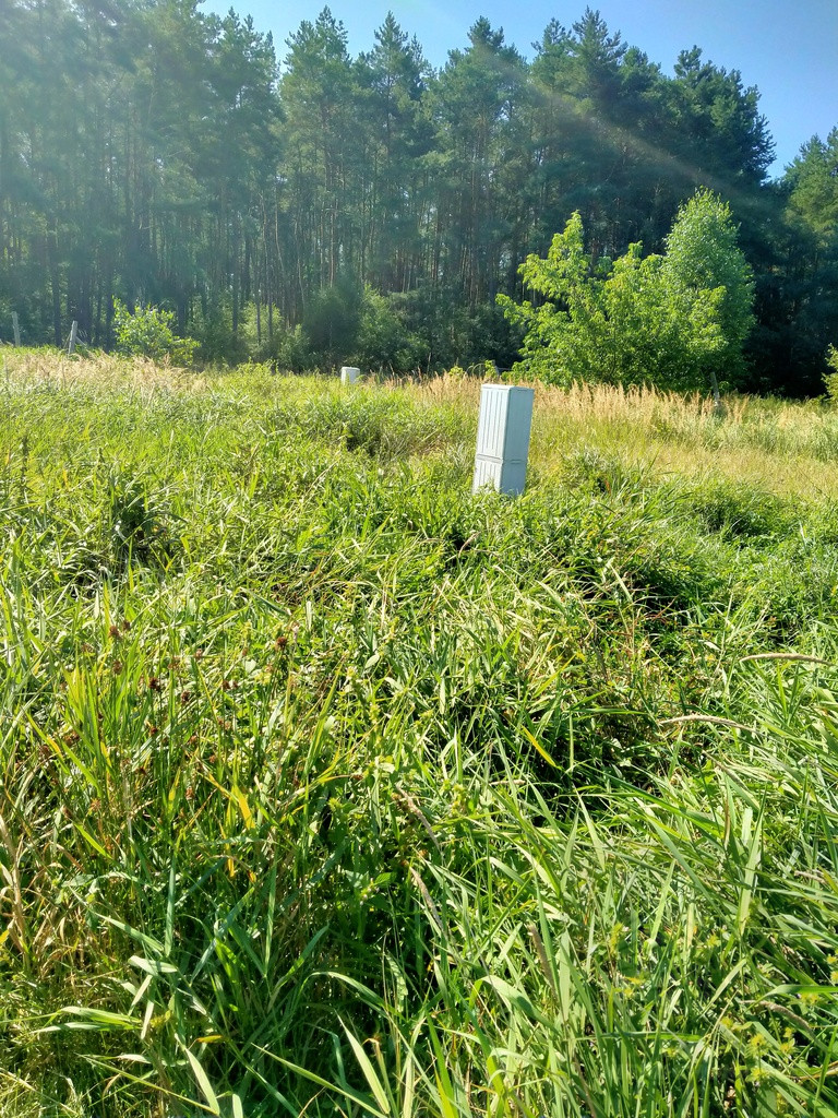 Działka Sprzedaż Wołczkowo 6