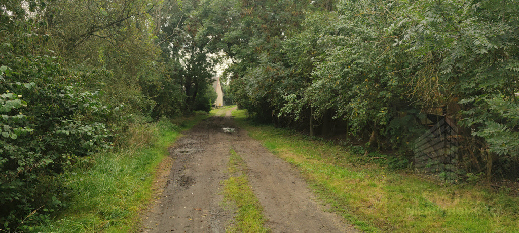 Działka Sprzedaż Barnisław 6
