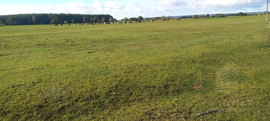 Działka Sprzedaż Borzysławiec 3