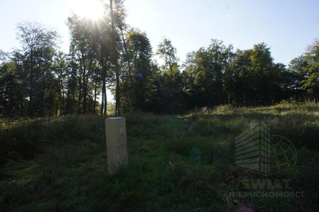 Działka Sprzedaż Dobra 6