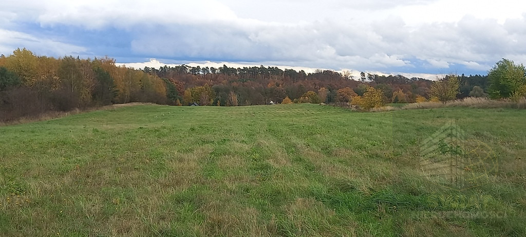 Działka Sprzedaż Steklno 2