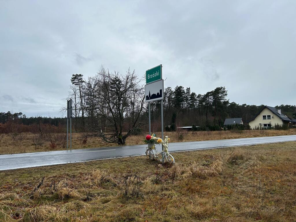 Działka Sprzedaż Brzózki 7