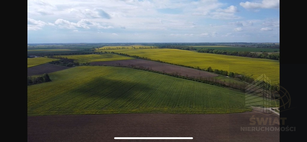 Działka Sprzedaż Pyrzyce 4