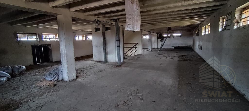 Obiekt Sprzedaż Budno 13