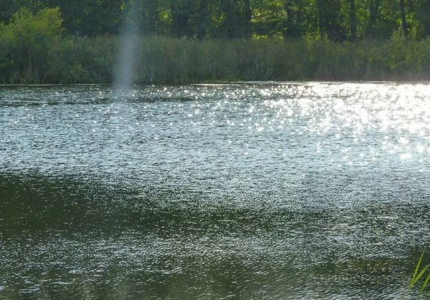 Działka Sprzedaż Zieleniewo 7