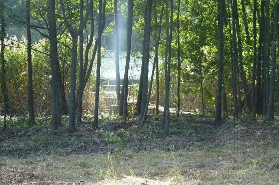 Działka Sprzedaż Zieleniewo 5