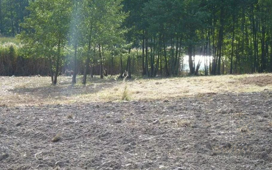 Działka Sprzedaż Zieleniewo 4