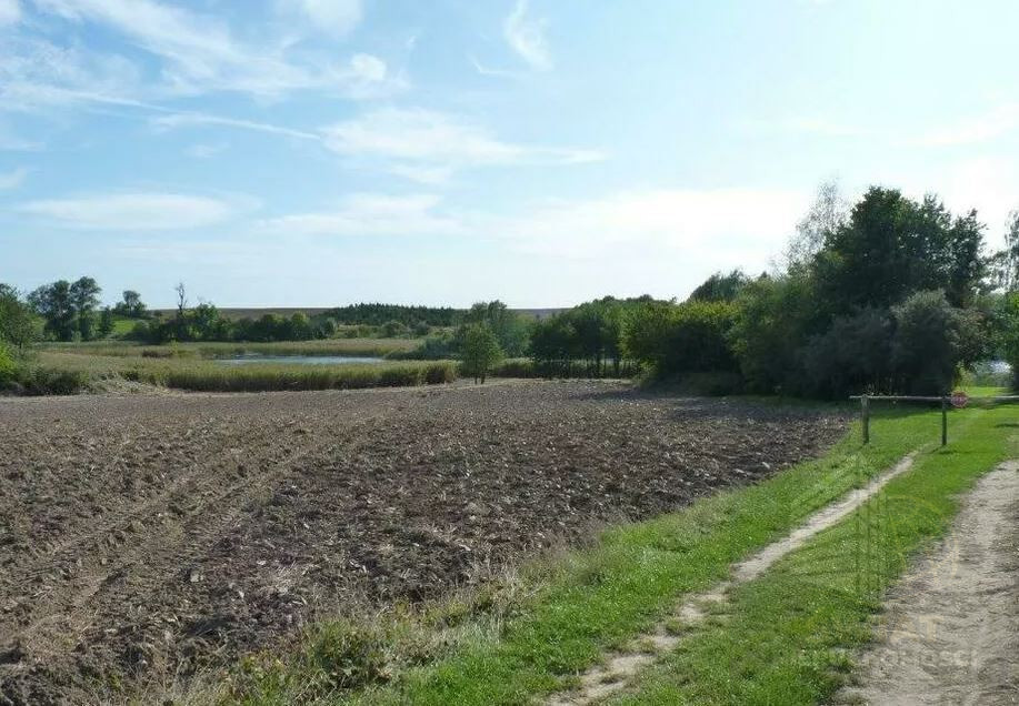 Działka Sprzedaż Zieleniewo 1