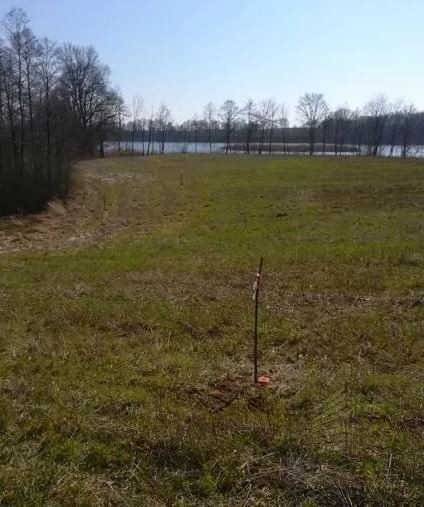 Działka Sprzedaż Kaszewo 5
