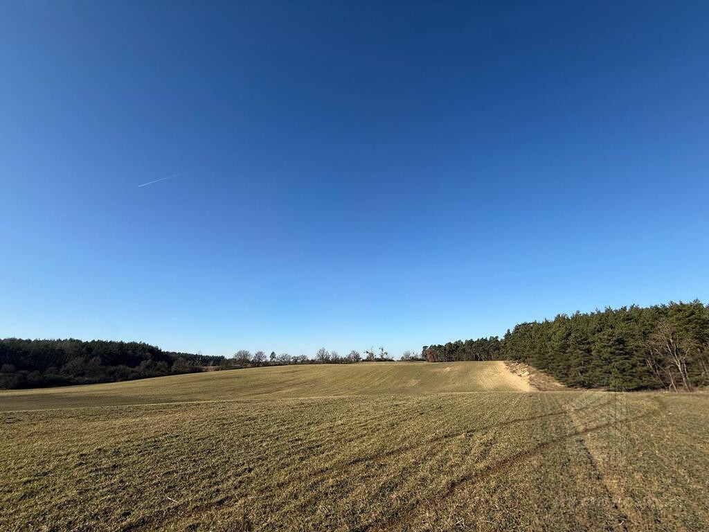 Działka Sprzedaż Buk 1