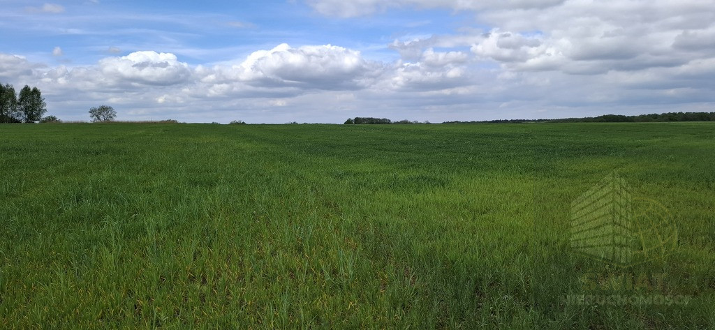 Działka Sprzedaż Bagna 3