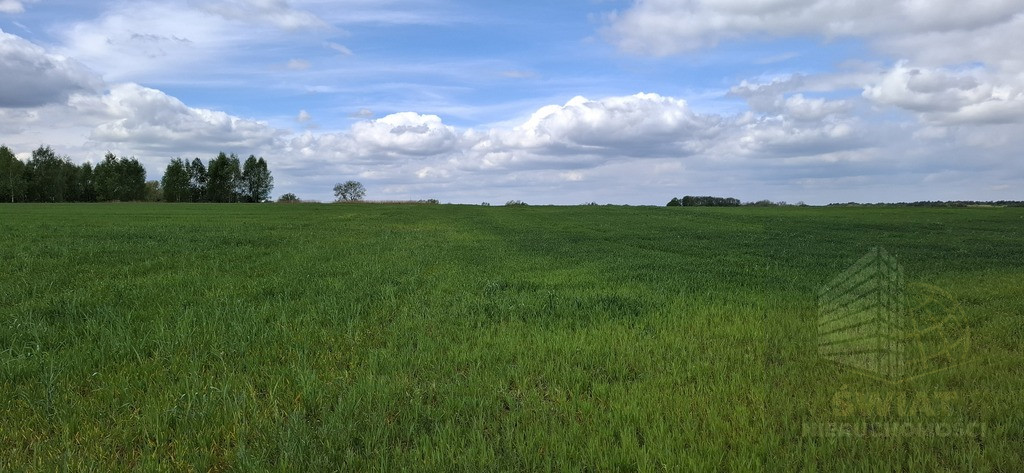Działka Sprzedaż Bagna 4