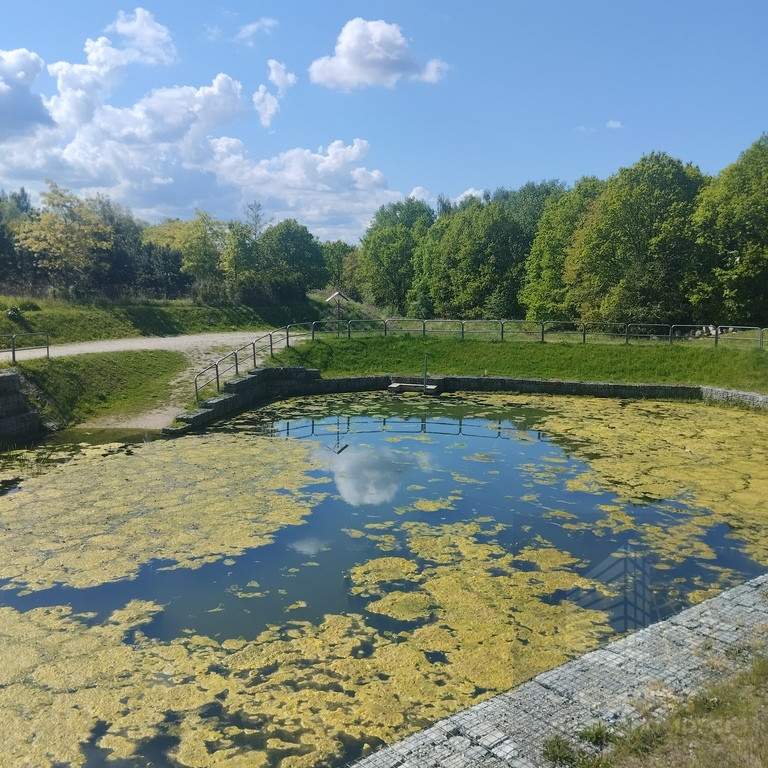 Mieszkanie Sprzedaż Szczecin Warszewo Szwedzka 12