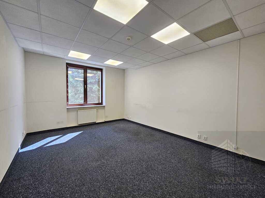 Lokal Wynajem Szczecin Centrum 2