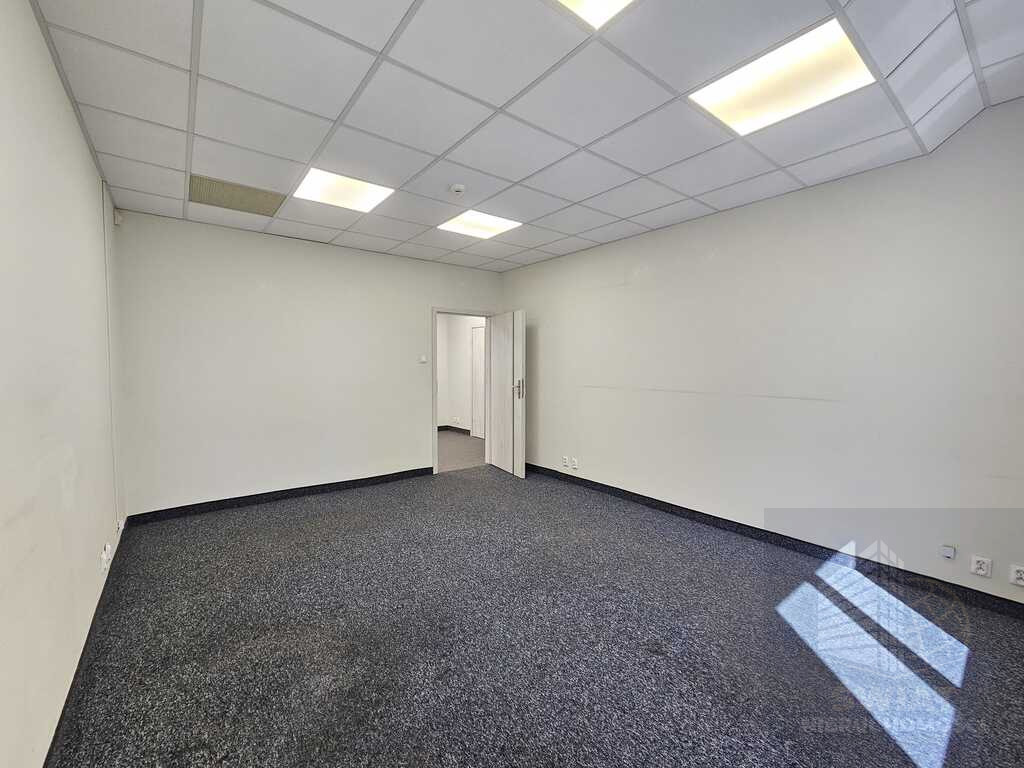 Lokal Wynajem Szczecin Centrum 4