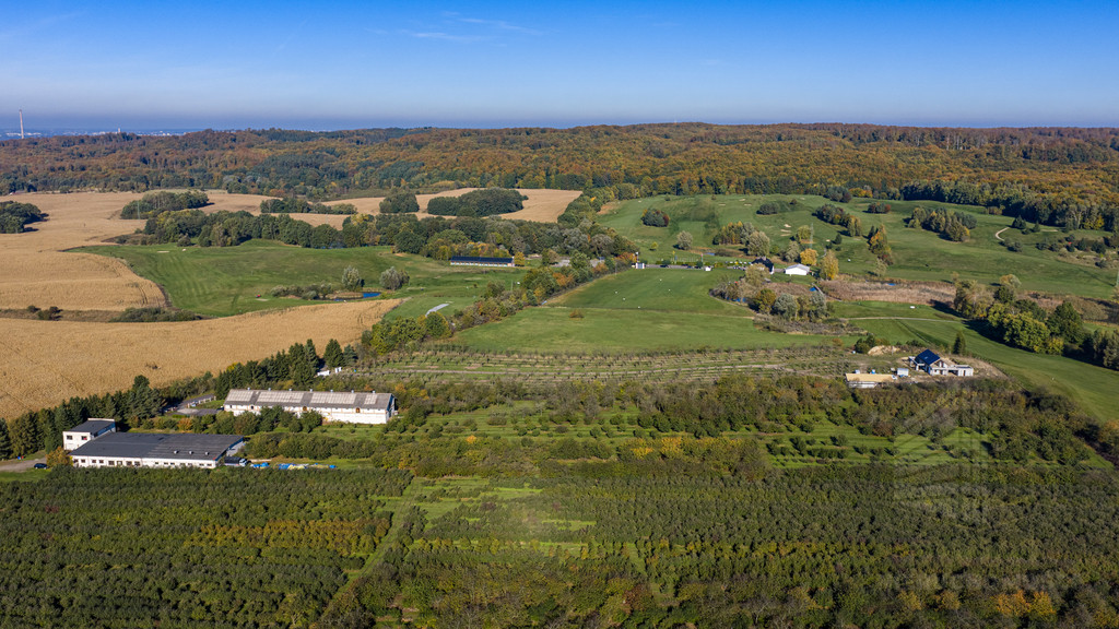 Dom Sprzedaż Binowo