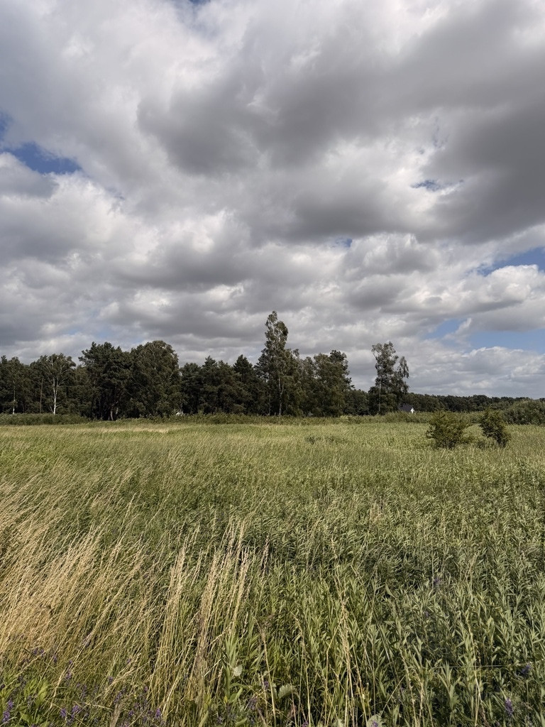 Działka Sprzedaż Niedźwiedź 8