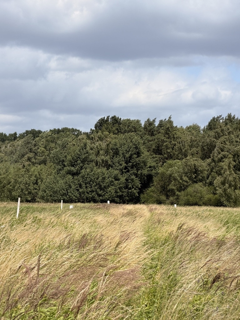 Działka Sprzedaż Niedźwiedź 5