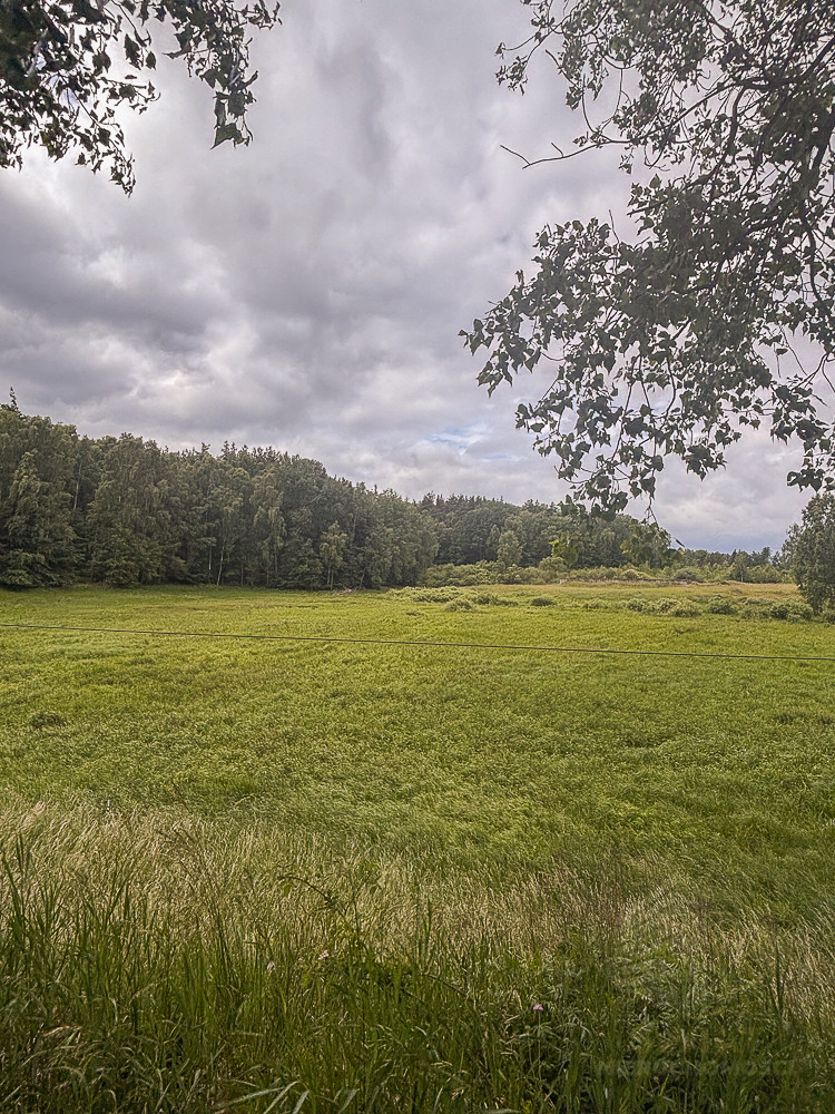 Działka Sprzedaż Piaseczno