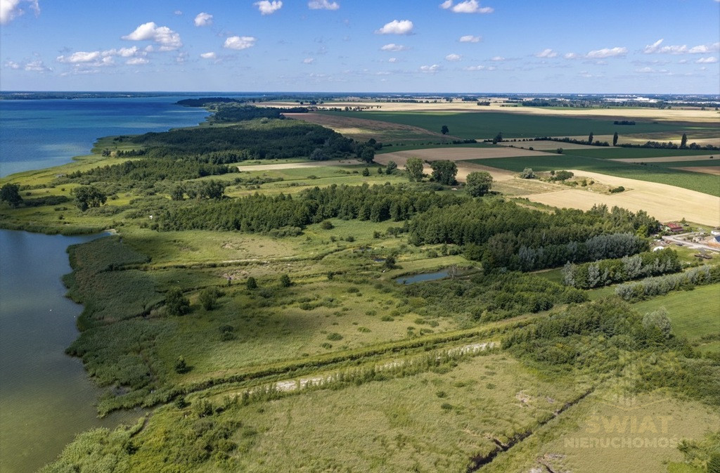 Działka Sprzedaż Wierzbno 5