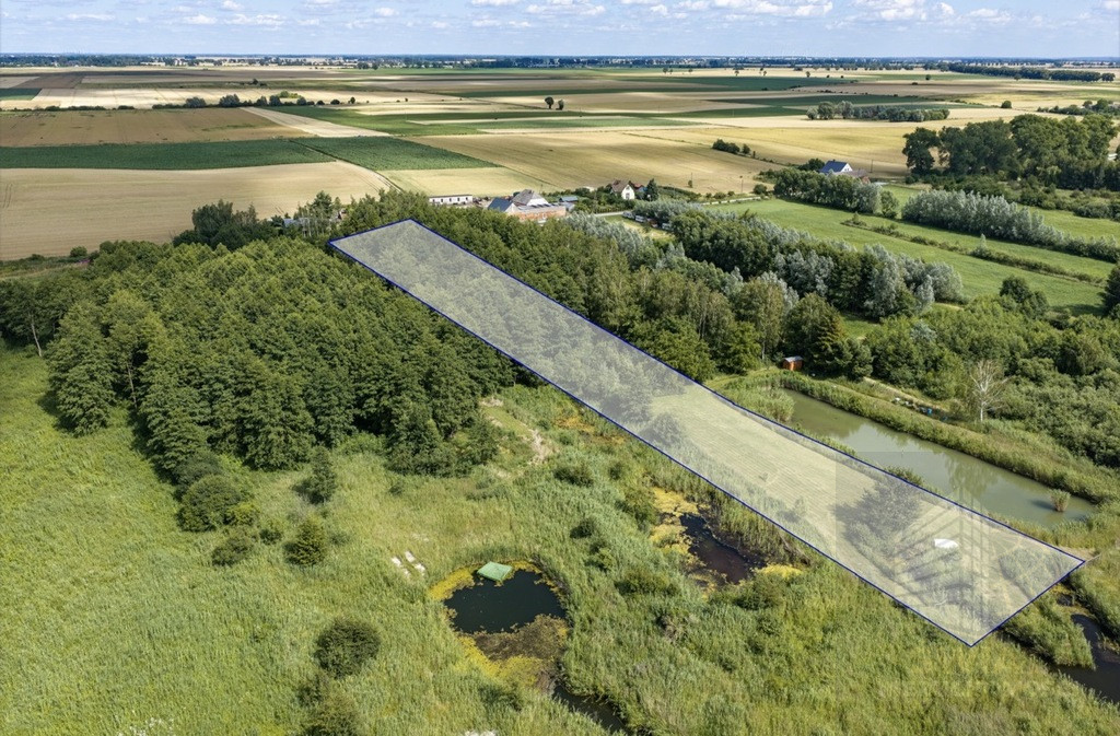 Działka Sprzedaż Wierzbno 6