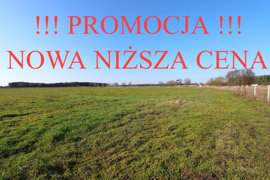 Działka Sprzedaż Lubczyna 1