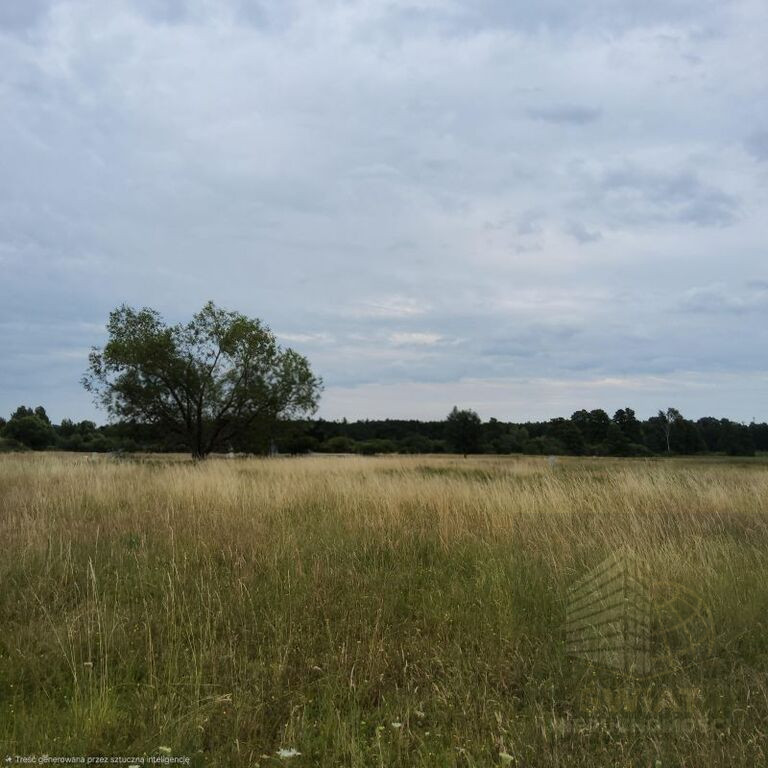 Działka Sprzedaż Buk 2