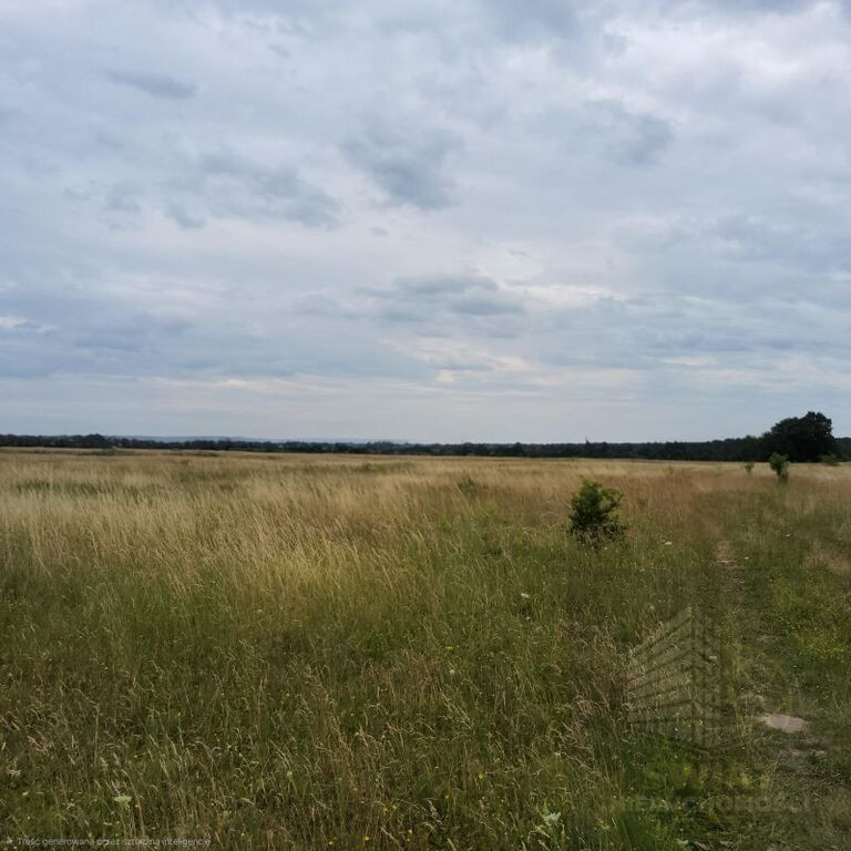 Działka Sprzedaż Buk 3