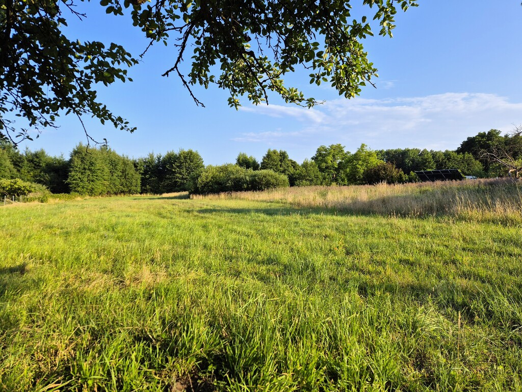 Działka Sprzedaż Niekłończyca