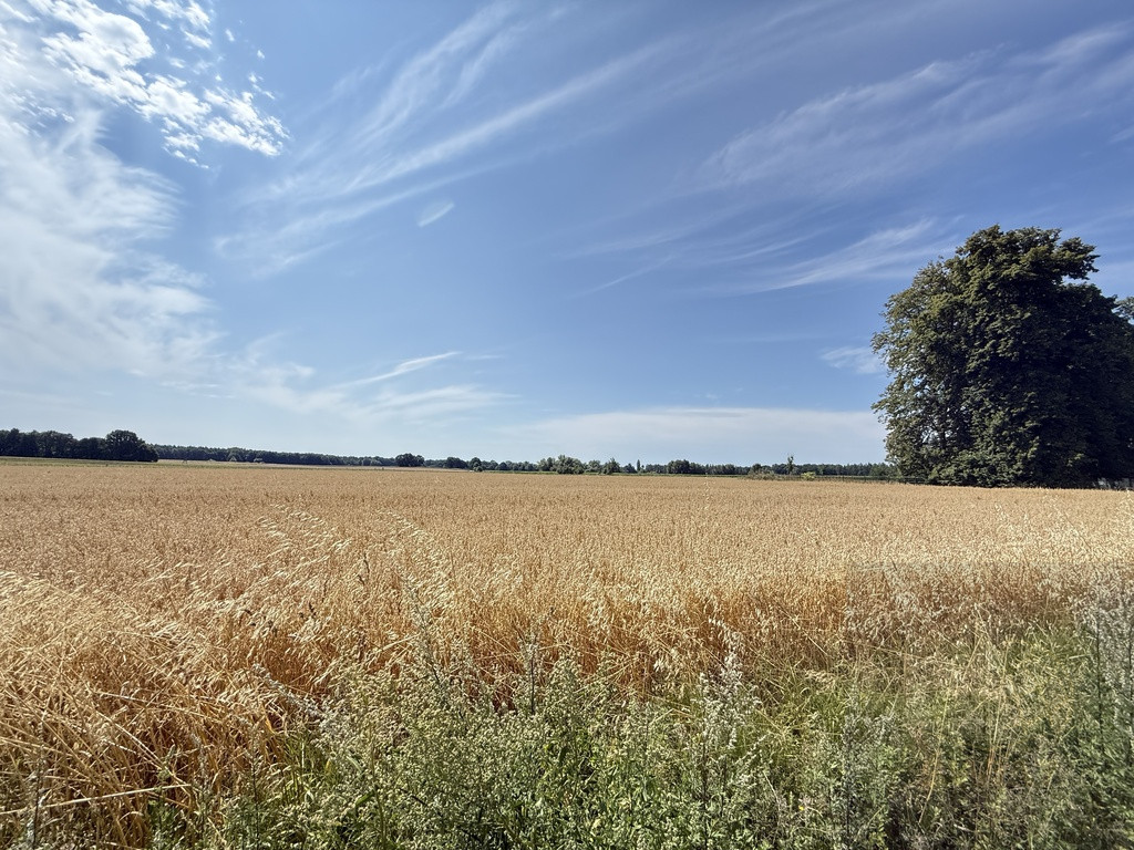 Działka Sprzedaż Oświno 18