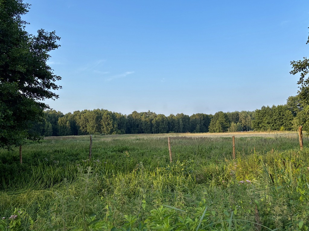 Działka Sprzedaż Tanowo 1