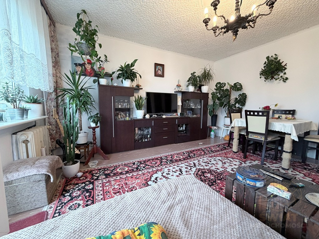 Mieszkanie Sprzedaż Szczecin Świerczewo Jodłowa 3