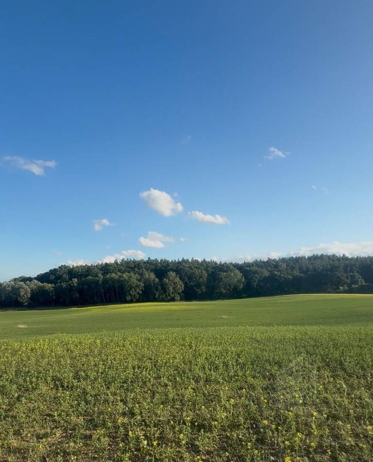 Działka Sprzedaż Buk