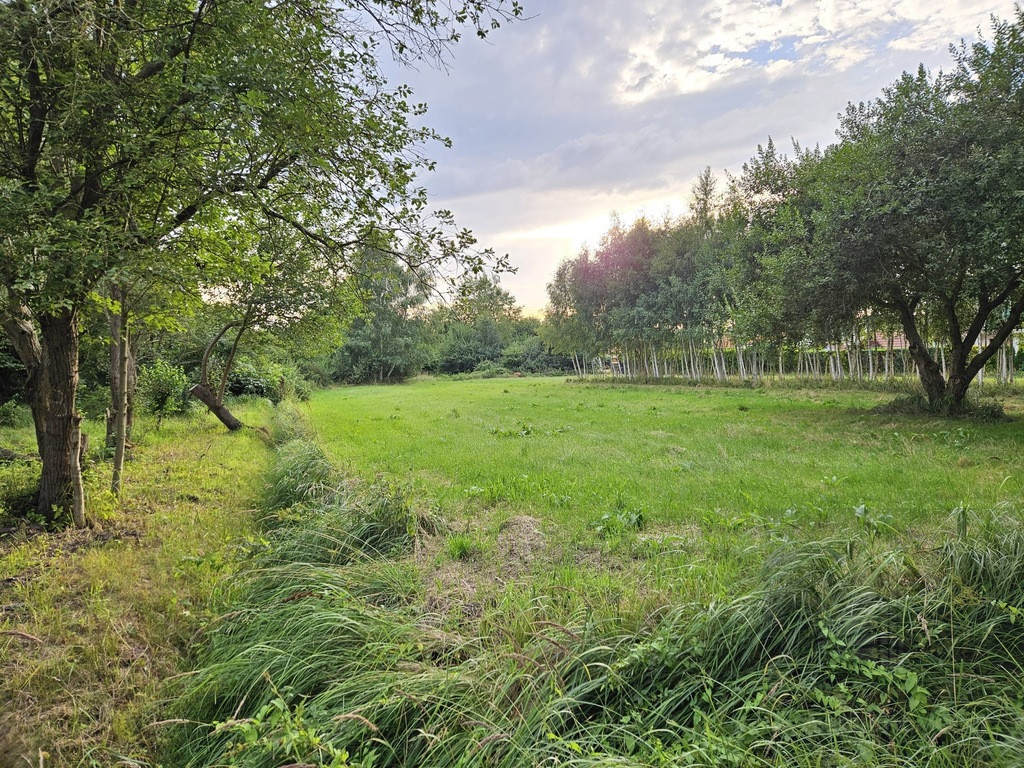 Działka Sprzedaż Trzebież 11