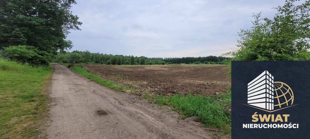Działka Sprzedaż Binowo 2