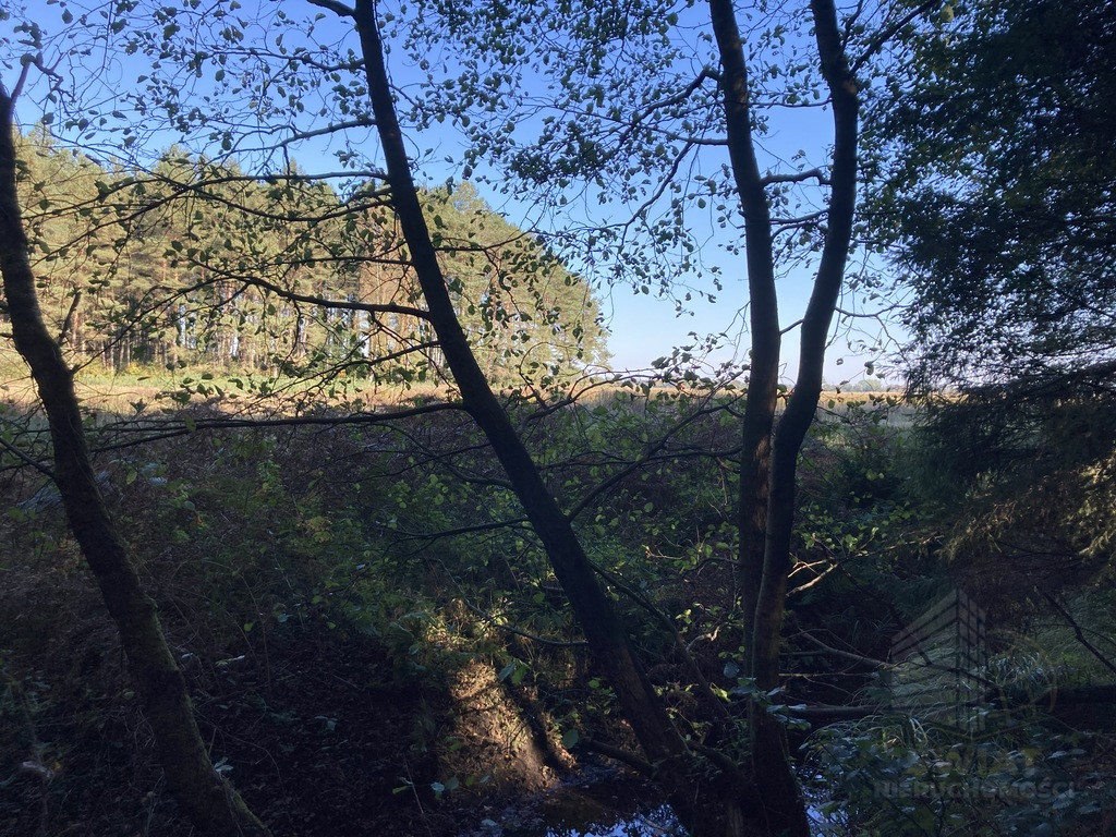 Działka Sprzedaż Krzepocin 8