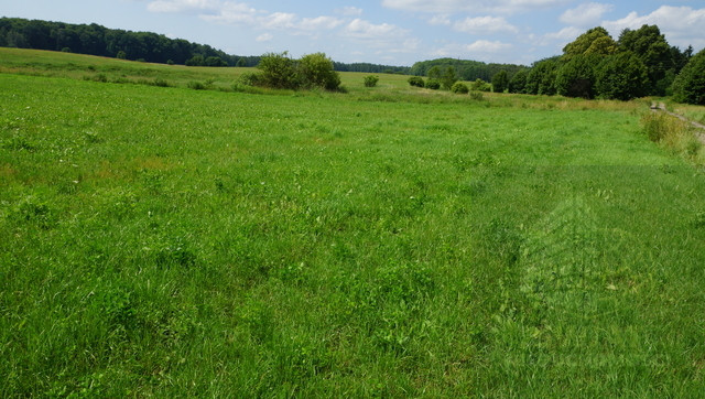 Działka Sprzedaż Bobolice 2