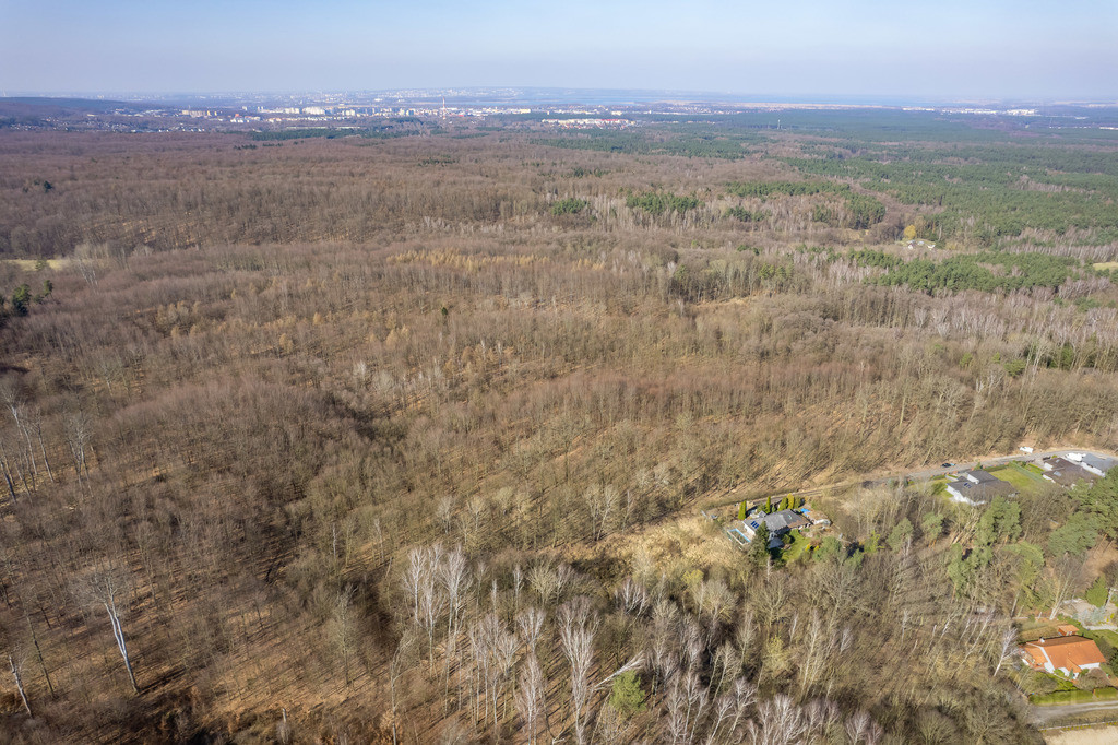 Działka Sprzedaż Szczecin Płonia