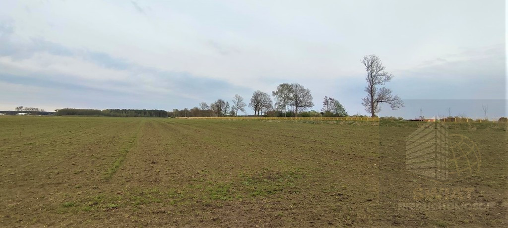 Działka Sprzedaż Lubczyna