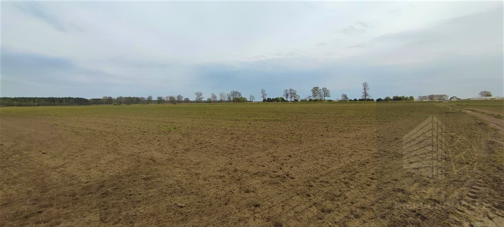 Działka Sprzedaż Lubczyna