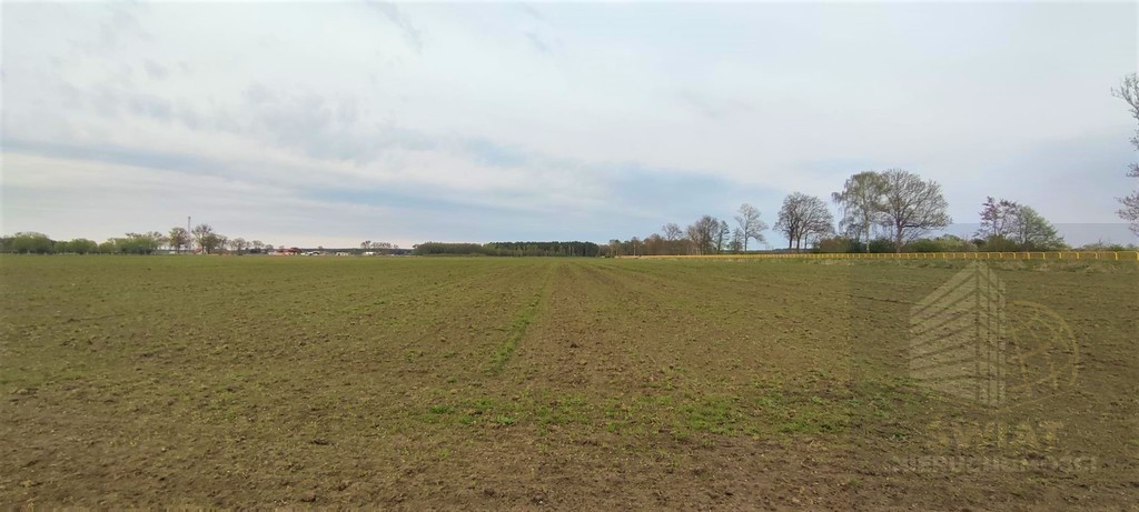 Działka Sprzedaż Lubczyna 5