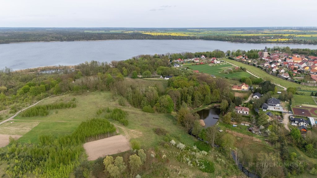 Działka Sprzedaż Moryń