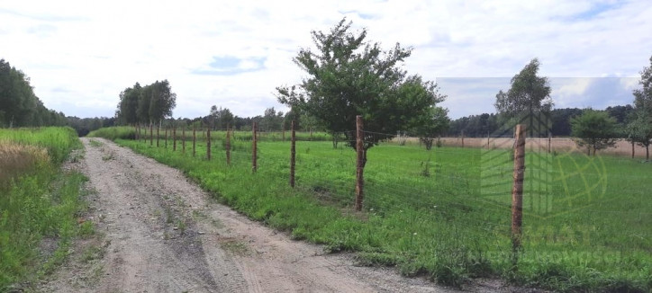 Działka Sprzedaż Smogolice 1