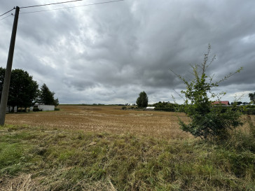 Działka Sprzedaż Kolonia Maszewo
